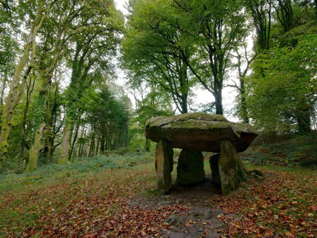 Local Walk to Llanglydwen Cromlech